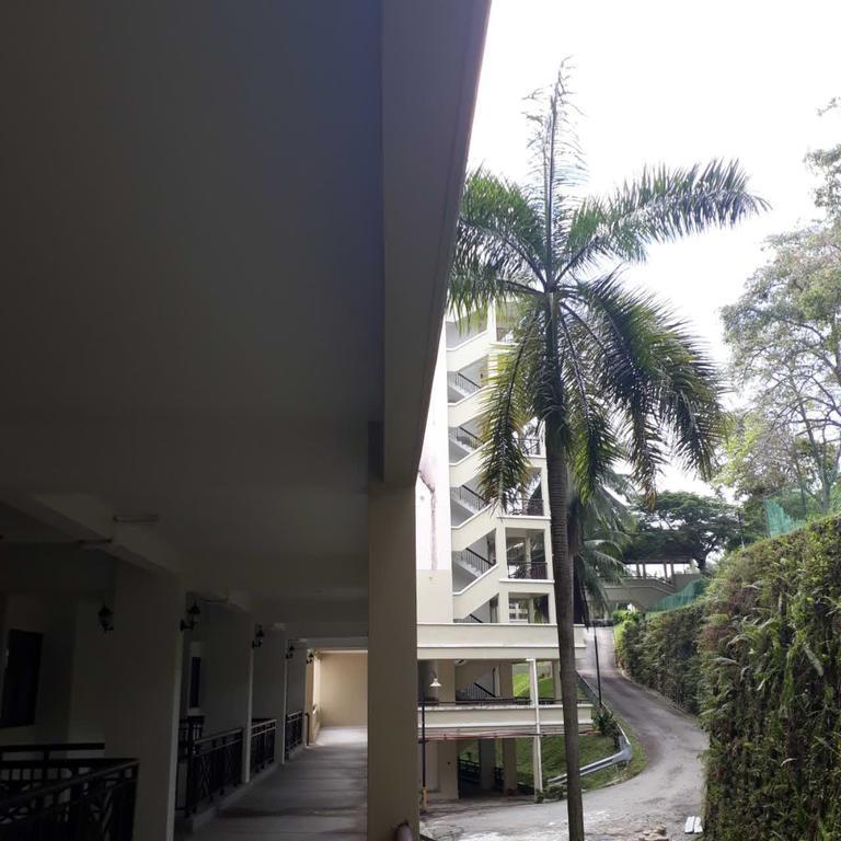 Apartment Seaview Pd *